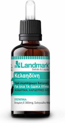 Landmark Κελαϊδίνη Συμπλήρωμα Διατροφής Πτηνών 15ml