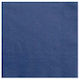 Navy Blue Party Napkins (20 pieces)