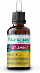 Landmark Vit-amin 20 Συμπλήρωμα Διατροφής Σκύλου Σιρόπι 100ml