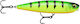 Rapala Precision Xtreme Pencil Artificial Bait ...