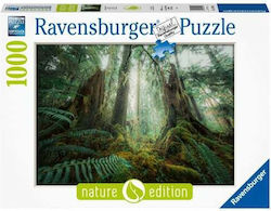 Forest Puzzle 2D 1000 Pieces