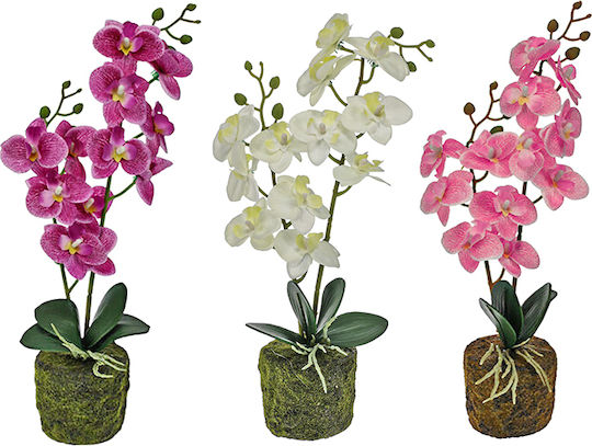 Plantă Artificială în Ghiveci Mic Orhidee 40cm (Diverse culori) Zaros