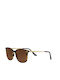 Zippo Sunglasses with Brown Tartaruga Frame and Brown Lens OB146-04