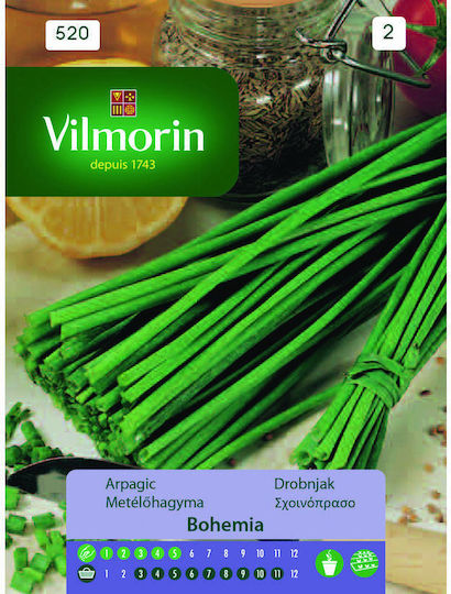 Vilmorin Seeds Chives 9gr