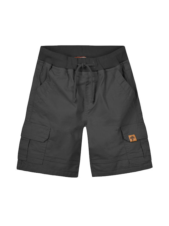 Energiers Kids Shorts/Bermuda Fabric Gray