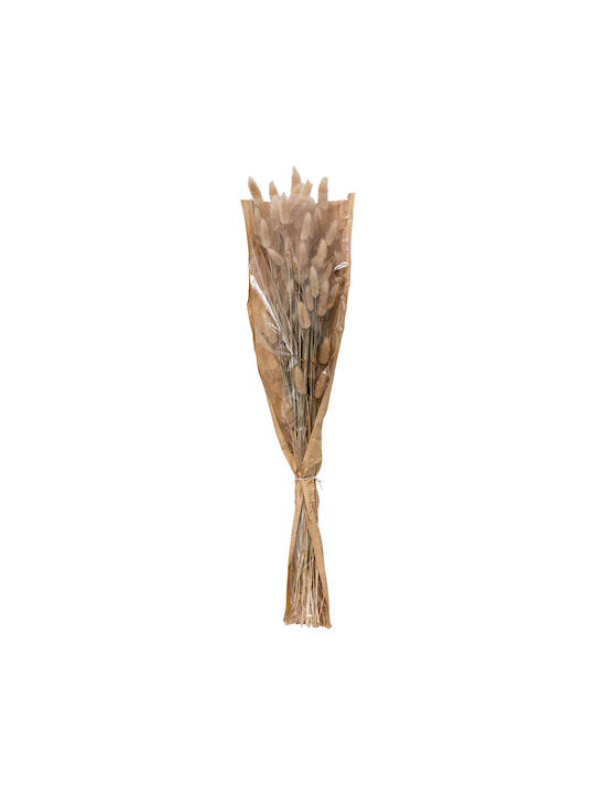 Μπουκέτο από Bunny Tails Μπεζ