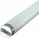 EDM Grupo Fluorescent Lamp for Socket G13 with Shape T8 15W