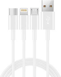 Ancus Flow E44 Regular USB to Lightning / Type-...