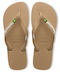 Brasil Logo Herren Flip Flops Braune