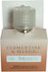 Atmosphera Clemente Mango Aromatisches Öl Clemente und Mango 10ml 2714110