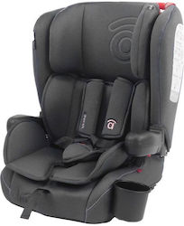 Asalvo Καθισματάκι Αυτοκινήτου Verne i-Size 9-36 kg με Isofix Gray