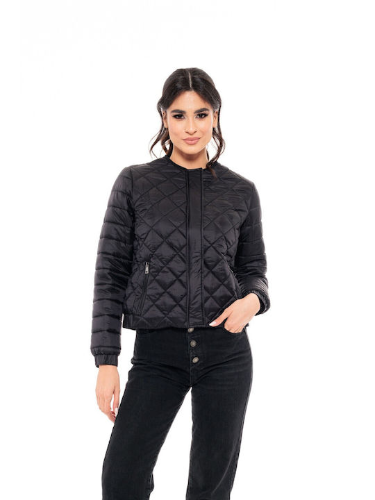 Splendid 49-101-003-6 Women's Short Puffer Jacket for Winter Black