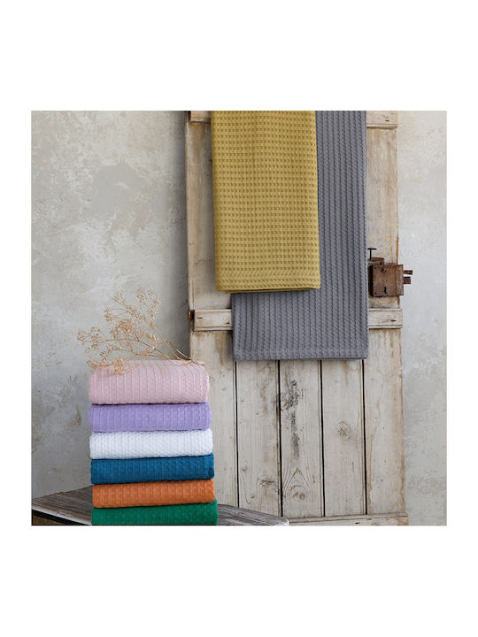 Nima Habit Pique Blanket Single 160x240cm Gold ...