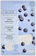 Iroha Nature Blueberry Gesichtswasser mit Centella Asiatica & Panthenol 10x25ml