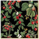 Party Napkins Orchard Multicolored 33x33cm. 20pcs