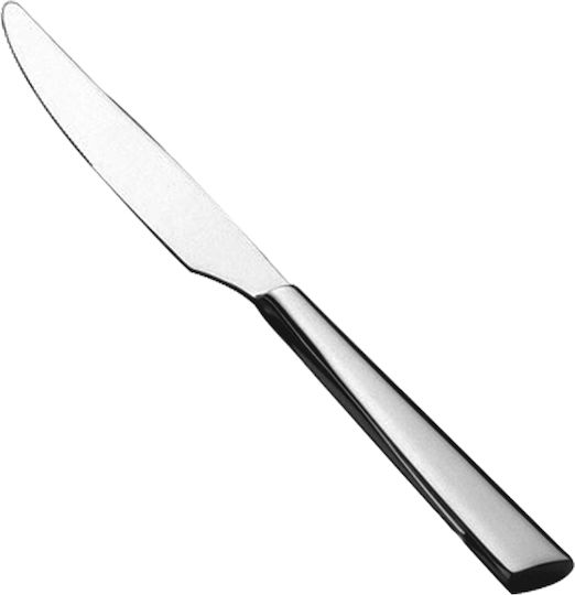 Salvinelli Forged Cuțite Fructe din Oțel Inoxidabil 21cm 12buc