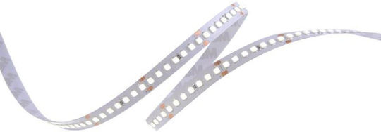 Geyer Rezistent la apă Bandă LED 24V Alb Cald Lumină 5m Tip SMD2835