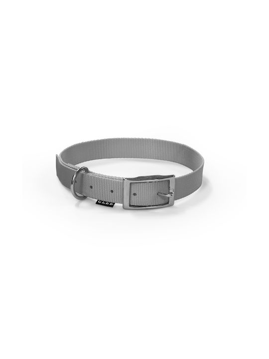 Glee Dog Collar in Gray color Medium 20mm x 51cm 88605