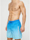 Quiksilver Everyday Warped Logo Herren Badebekleidung Shorts Blau mit Mustern