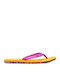 Base Camp Mini II Σαγιονάρες Gold/ Purple Cactus Flower