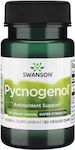 Swanson Pycnogenol 150mg 30 caps