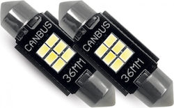 Phonocar Lamps Car LED 6000K Cold White 12V 1.9...