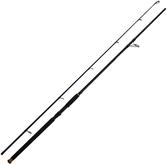 Oceanic Καλάμι Ψαρέματος για Shore Jigging 3m 30-80gr