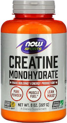 Now Foods Sports Creatine Monohydrate 227gr
