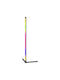 Optonica LED Floor Lamp H104.7xW30cm. with RGBW Light 220lm Black