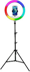 Powerton Powerton RGB Подова с Триножник