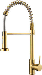 Counter with External Spray Hose Gold Youb1345 Counter with External Spray Hose Gold Youb1345