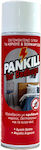 Pankill Εντομοκτόνο Spray για Κοριούς 500ml