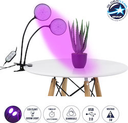 GloboStar FSDESK GloboStar FSDESK