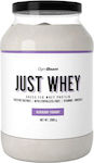 GymBeam Just Whey Whey Protein with Flavor Blueberry Yogurt 2kg