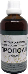 Alexopoulos Mpacharika-Votana & Tsai Tincture Tincture Propolis 100ml