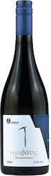 Akriotou Wines Mountaineer White Dry 750ml