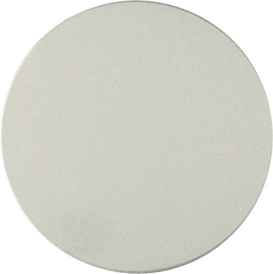 Metal Plate Silver