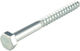 ArteLibre Coach Screw Hexagon Galvanized DIN 571 with Diameter M10 and Length 100mm