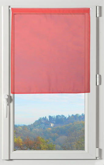 S-F Lisa Παραθύρου με Τούνελ Rouge 70x200εκ. S-F Lisa Παραθύρου με Τούνελ Rouge 70x200εκ.