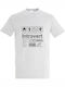 T-shirt Unisex " Introvert Meaning " Ash