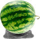 Wassermelonen-Stützfuß transparent