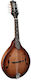 Richwood Akustisch Mandoline RMA-90-NT mit flachem Körper Walnuss getönt