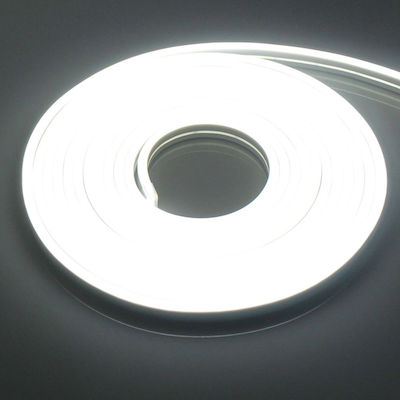 Rezistentă la apă Bandă LED Alimentare 12V cu Lumină Alb Rece Lungime 5m cu Alimentare