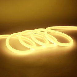 Waterproof Neon Flex LED Strip Power Supply 12V with Warm White Light Length 5m with Power Supply
