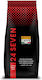 Pitti Caffe Espresso Coffee 24 Seven Whole Beans 1kg
