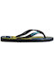 Havaianas Men's Flip Flops Black