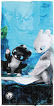 How To Train Your Your Dragon Kinder-Strandtuch Blau 140x70cm 420708705865