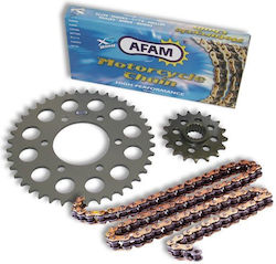 AFAM SET LANȚ/LANȚ DE PINIOANE XSR2-G 16/42-118L KTM 990 ADVENTURE 2006-2012