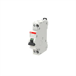Abb Αυτόματη Ασφάλεια 25A Διπολική AC 41866 Abb Αυτόματη Ασφάλεια 25A Διπολική AC 41866