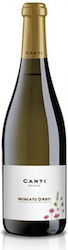 Canti Weiß Trocken D' Asti Perlwein 750ml